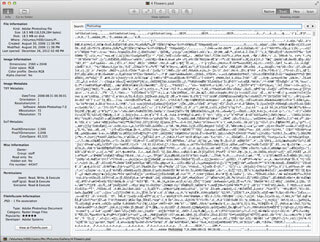 Text View