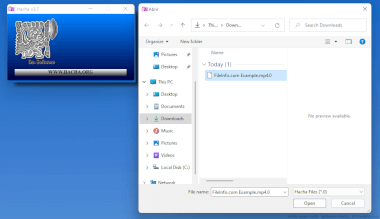 Screenshot of a .0 file in Dr. Software Hacha