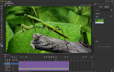 Screenshot of a .ana file in Adobe Animate 2023