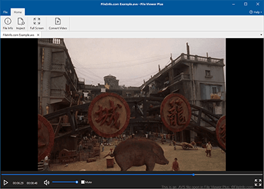 Screenshot of a .avs file in File Viewer Plus