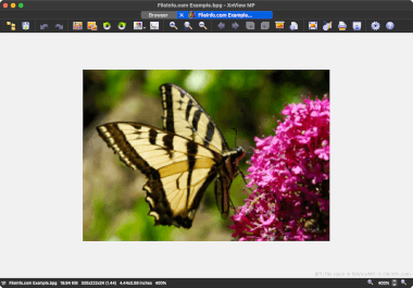 Screenshot of a .bpg file in XnViewMP