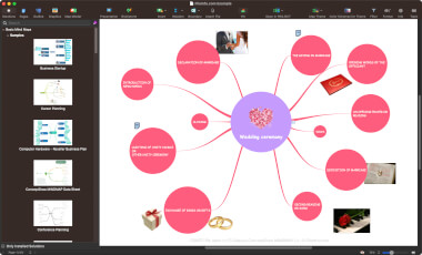 Screenshot of a .cdmtz file in CS Odessa ConceptDraw MINDMAP 14
