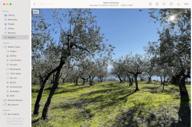 Screenshot of a .dng file in Apple Photos 6