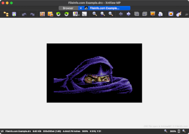 Screenshot of a .drz file in XnViewMP