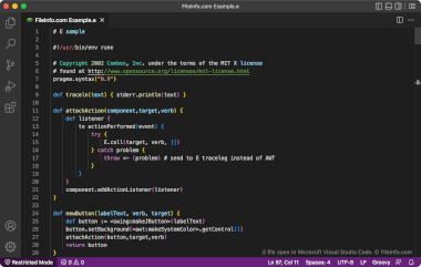 Screenshot of a .e file in Microsoft Visual Studio Code