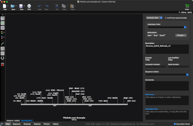 Screenshot of a .fas file in GSL Biotech SnapGene 6