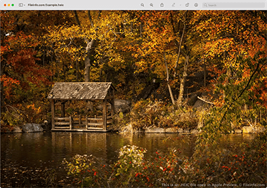 Screenshot of a .heic file in Apple Preview