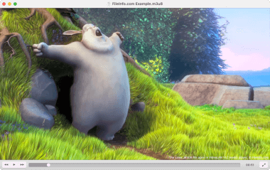 The same M3U8 file open in VideoLAN VLC media player