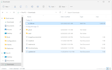 Decompressed NAR file's contents