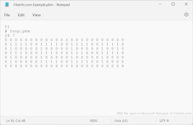 PBM file open in Microsoft Notepad