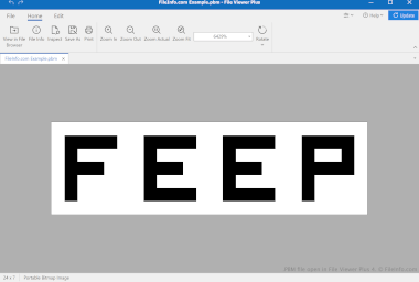 Screenshot of a .pbm file in File Viewer Plus 4