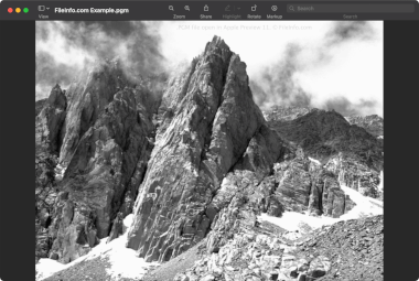 Screenshot of a .pgm file in Apple Preview 11