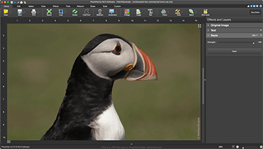 Screenshot of a .ppp file in PhotoPad Photo Editor