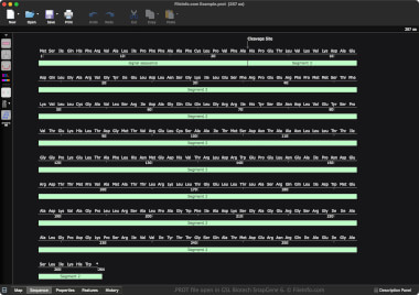 Screenshot of a .prot file in GSL Biotech SnapGene 6