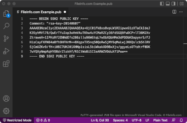 PUB file created by PuTTY