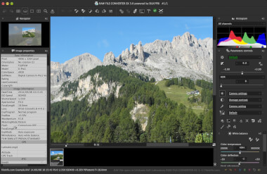 Screenshot of a .raf file in Ichikawa Soft Laboratory RAW FILE CONVERTER EX 3