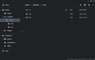TRASH folder open in ChromeOS Files