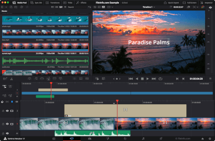 Screenshot of Blackmagic Design DaVinci Resolve 17